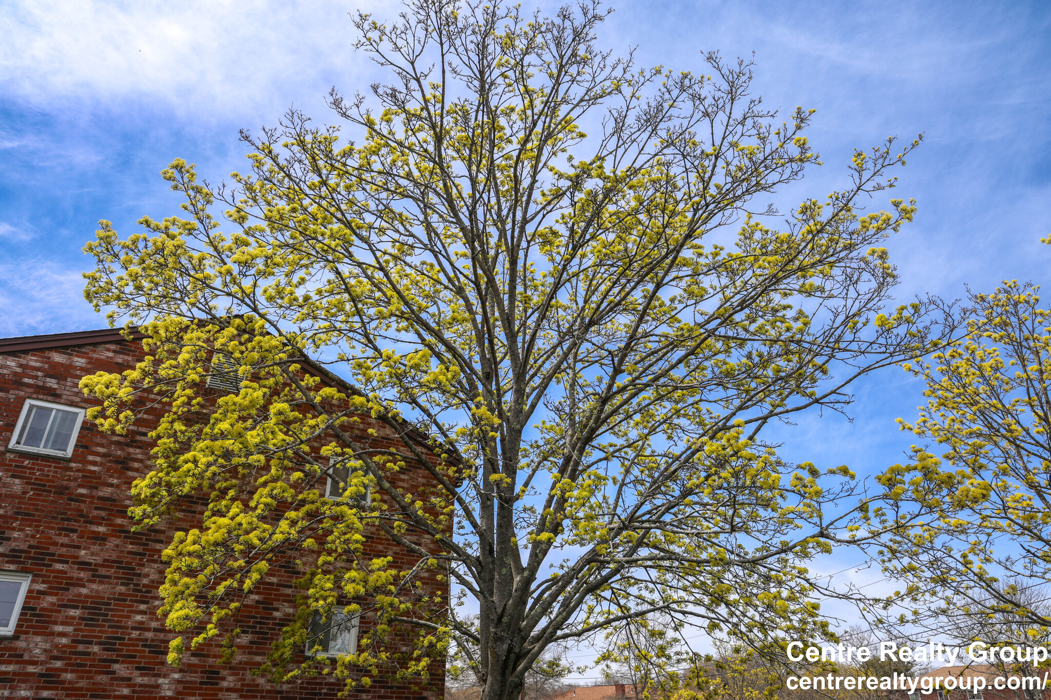 14 Bryon Rd, Chestnut Hill