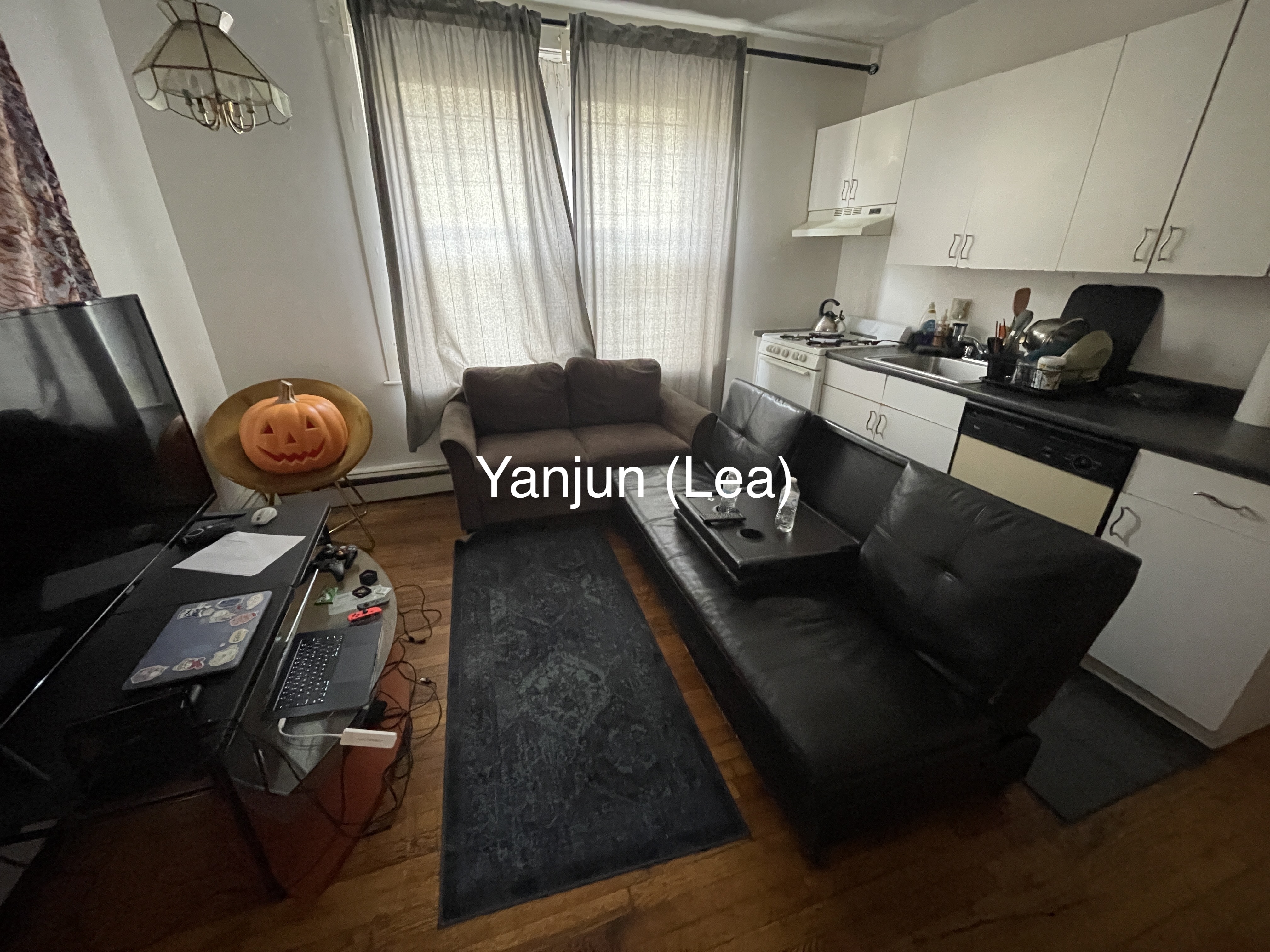 15 Scottfield Rd, Brighton