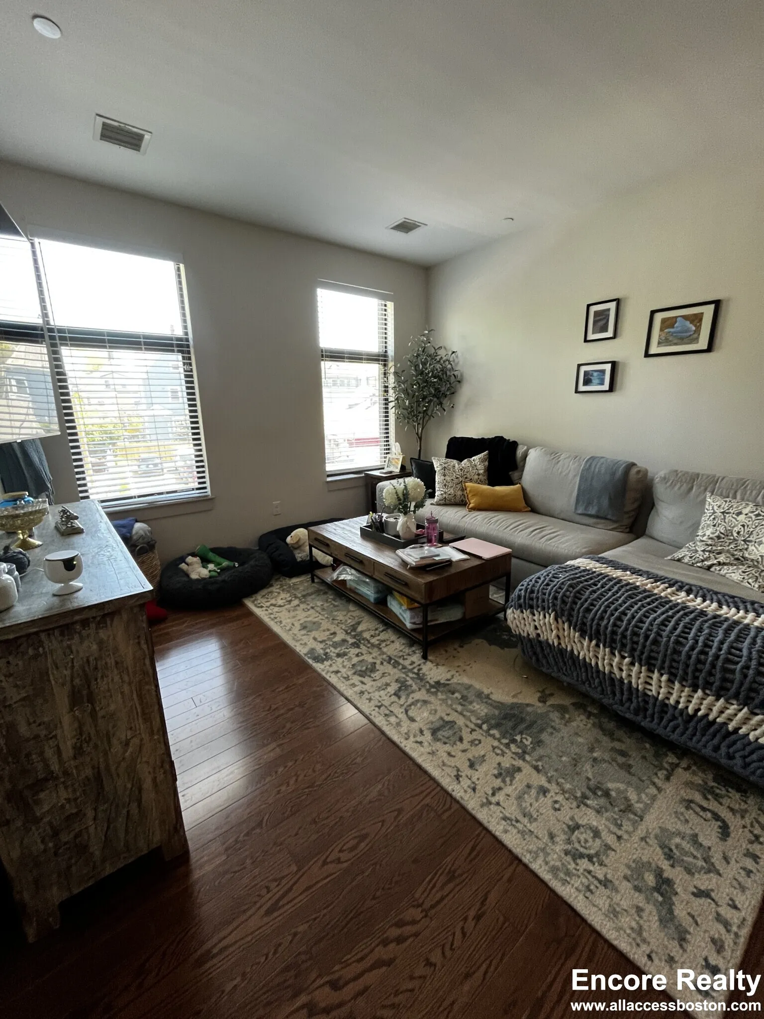 455 Harvard St, North Brookline