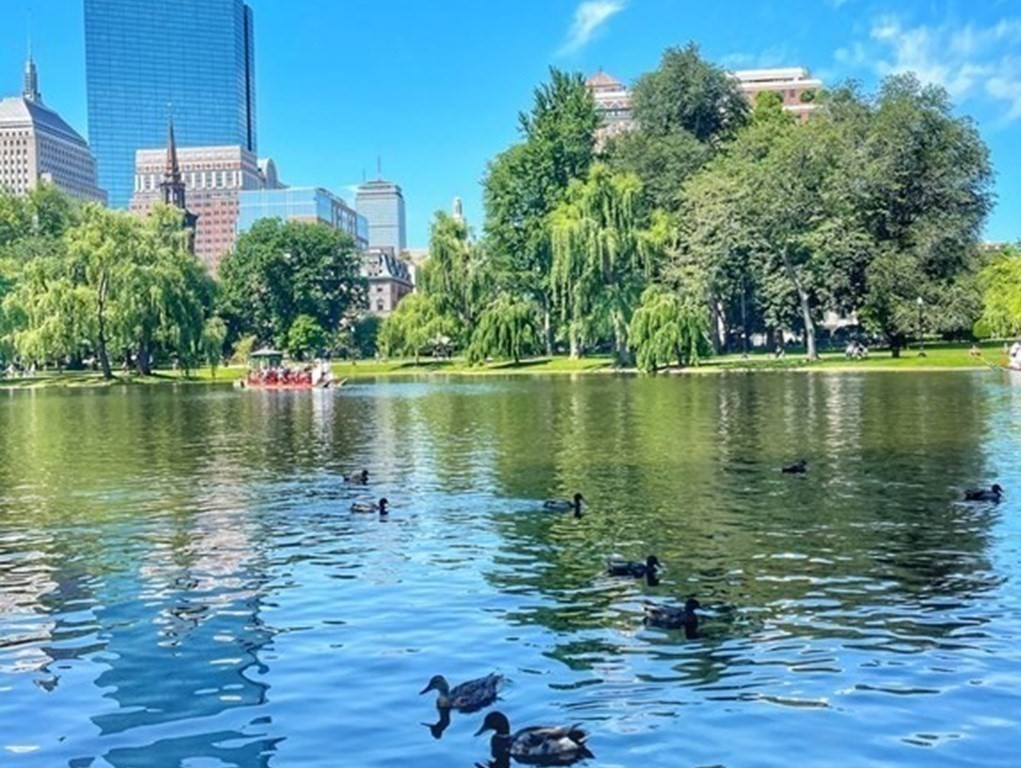 109 Beacon St, Back Bay