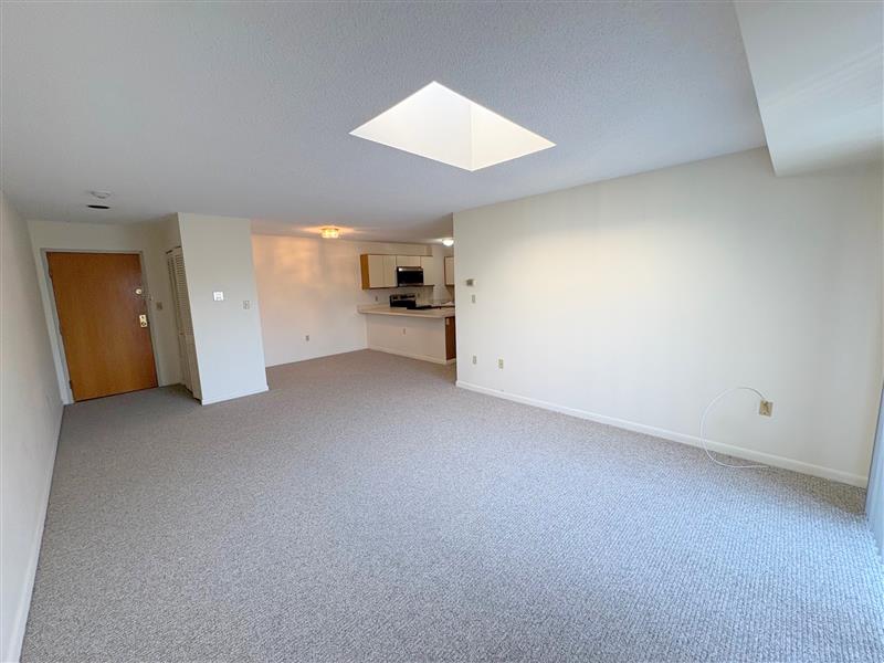 23 Elm St, Spring Hill