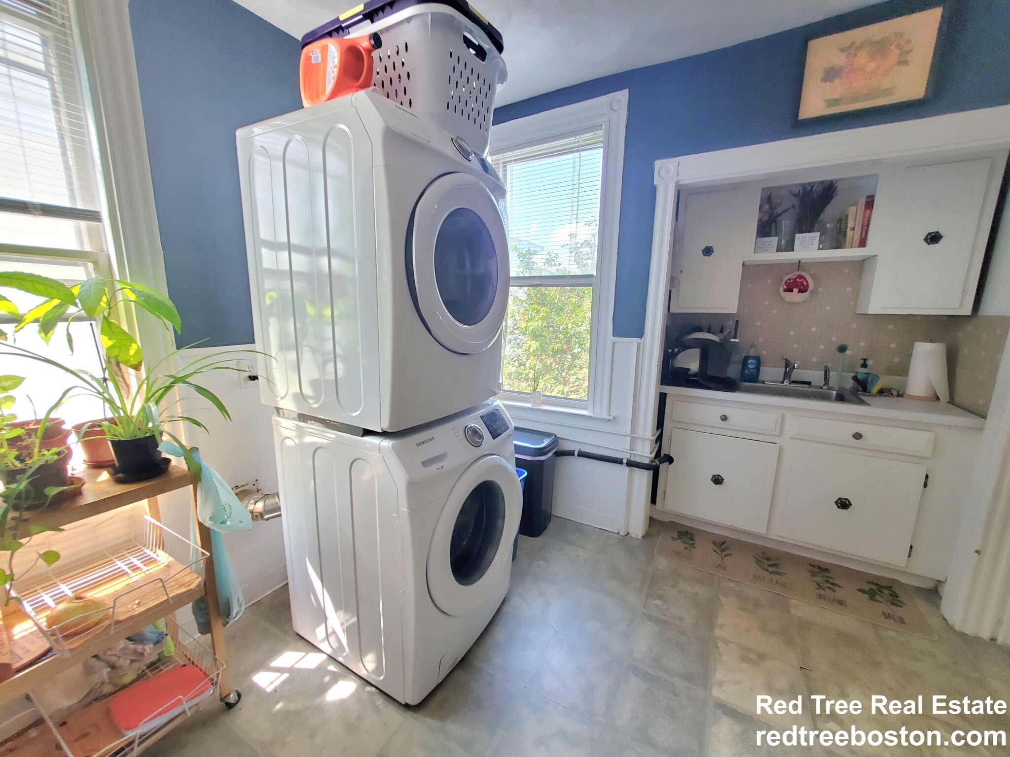 234 Cypress St, Brookline