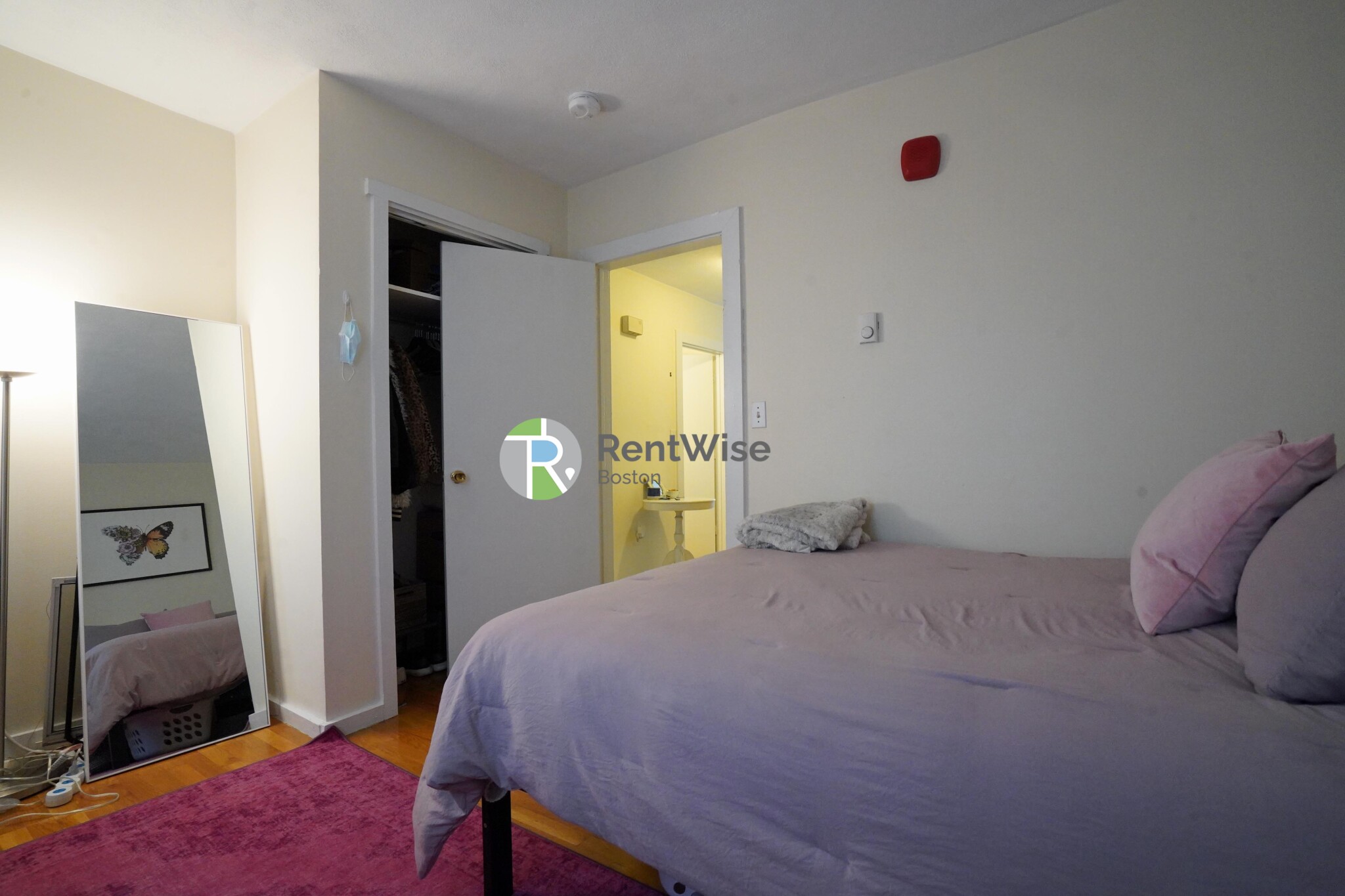 3 Schrepel Pl, South Boston