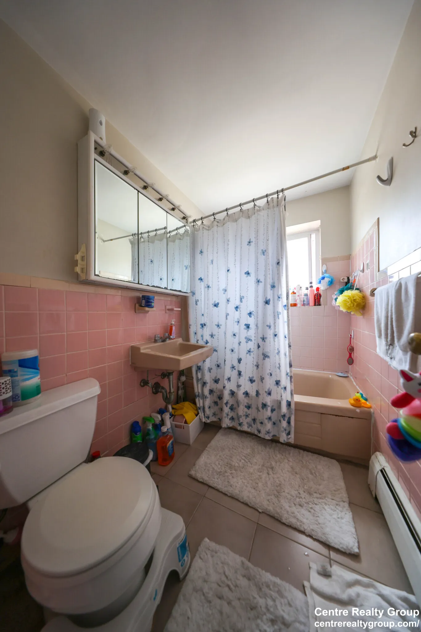14 Bryon Rd, Chestnut Hill