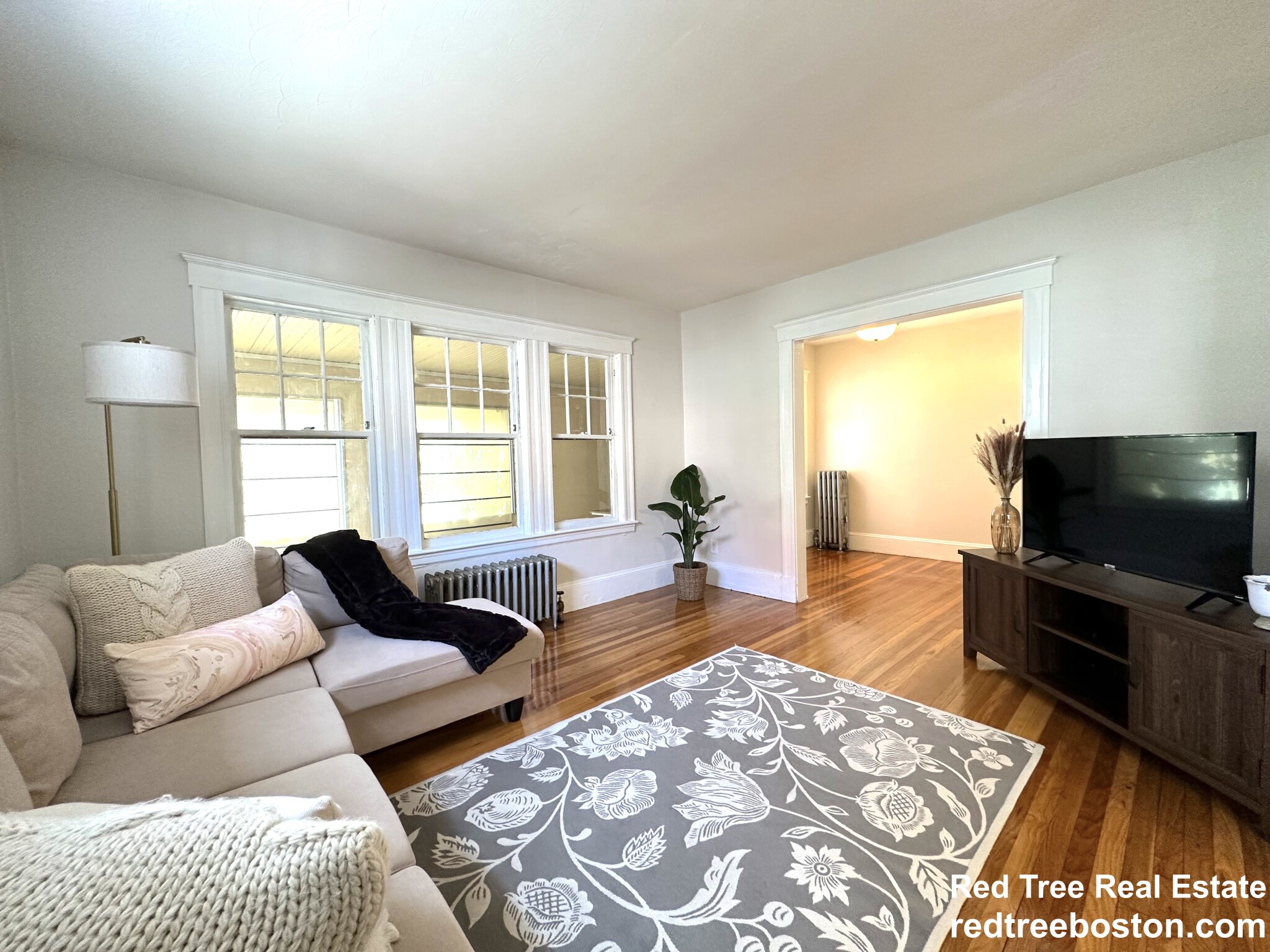 19 Larose Pl, Brighton