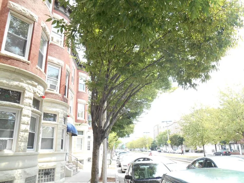 71 Brighton Ave, Allston