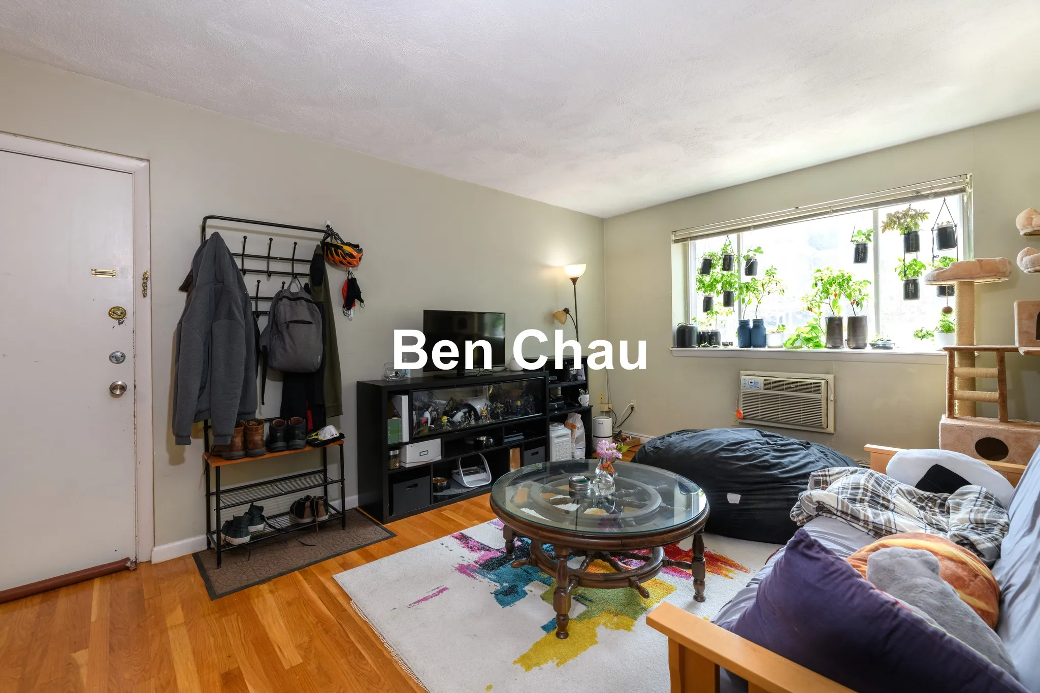 259 Summer St, Spring Hill