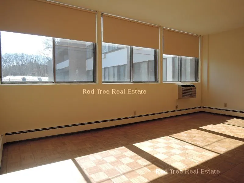 1455 Commonwealth Ave, Brighton