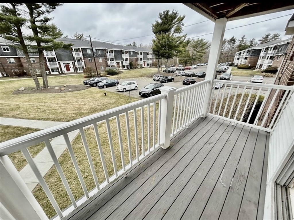 41 Will, Canton Junction