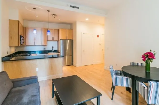 181 Essex St, Leather District