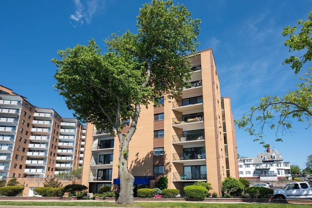 295 Lynn Shore Dr, Diamond District