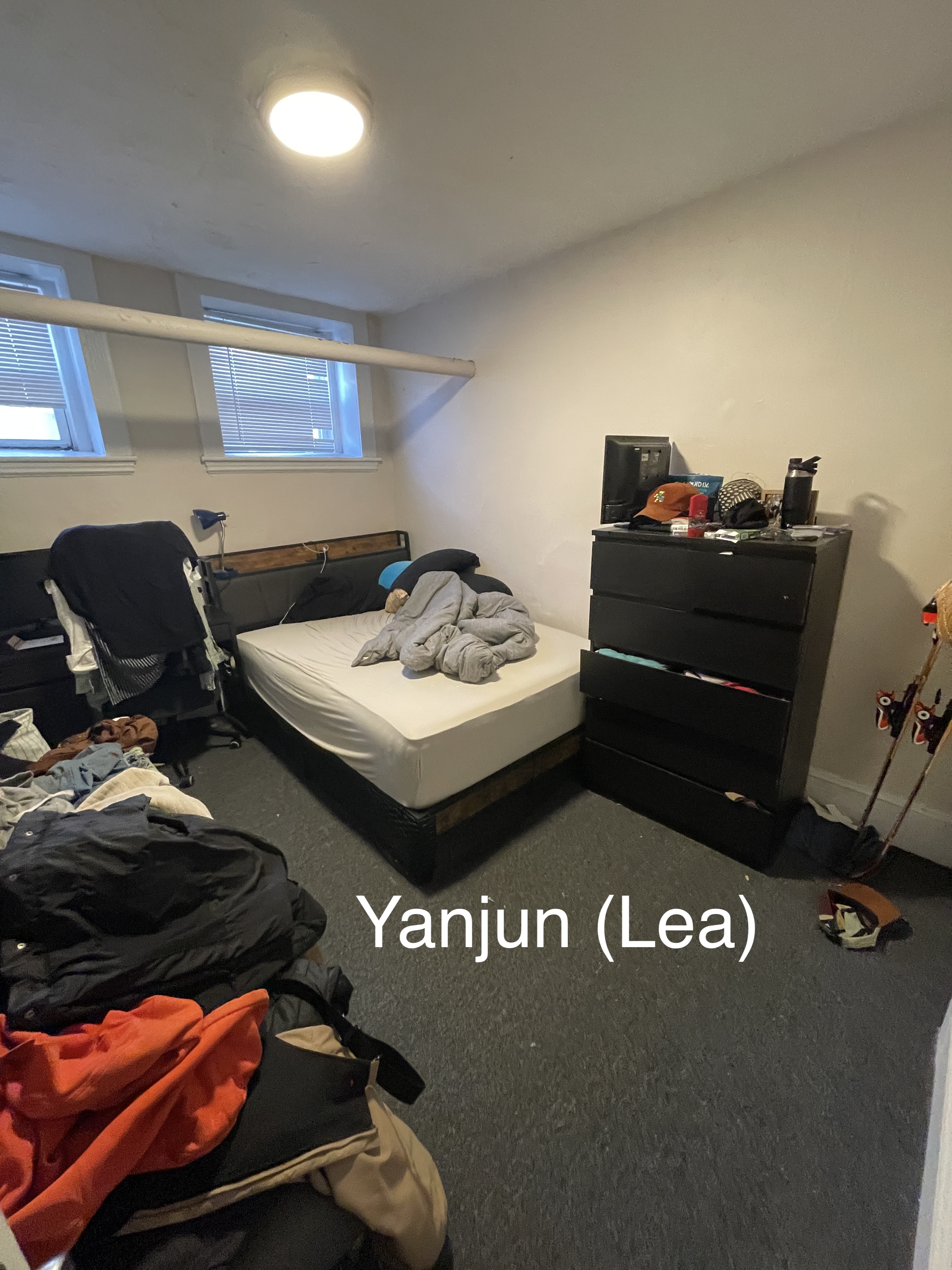 48 Brighton Ave, Brighton