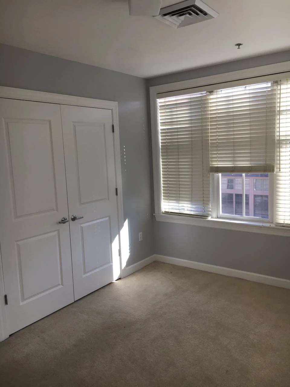 163 Chestnut Hill Ave, Brighton