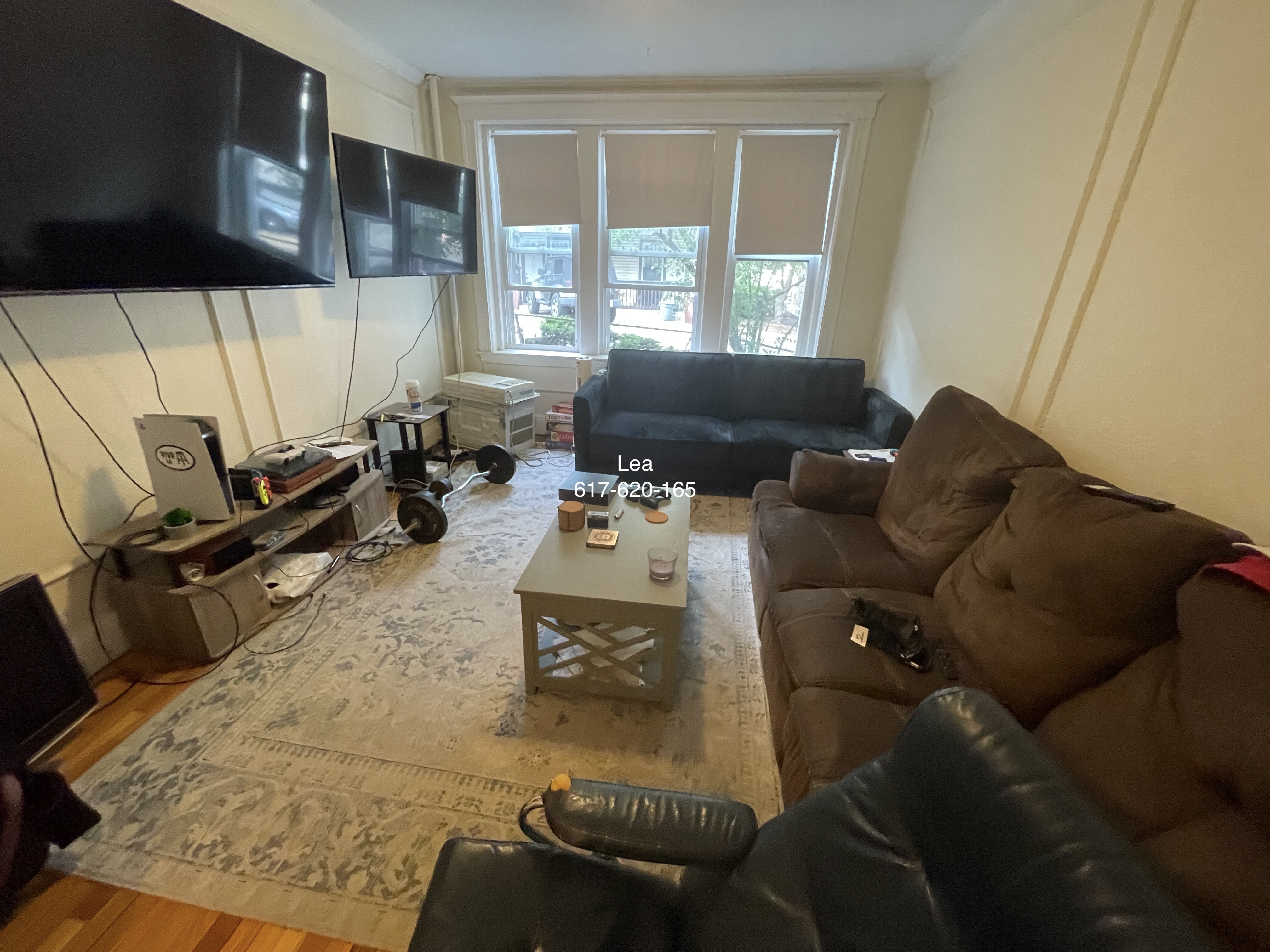 8 Vinal St, Brighton