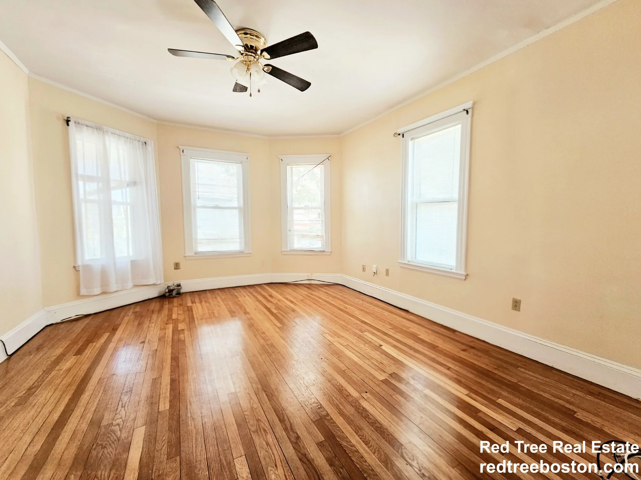243 Callender St, Dorchester