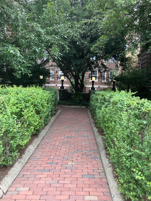 43 Linnaean St, Neighborhood Nine