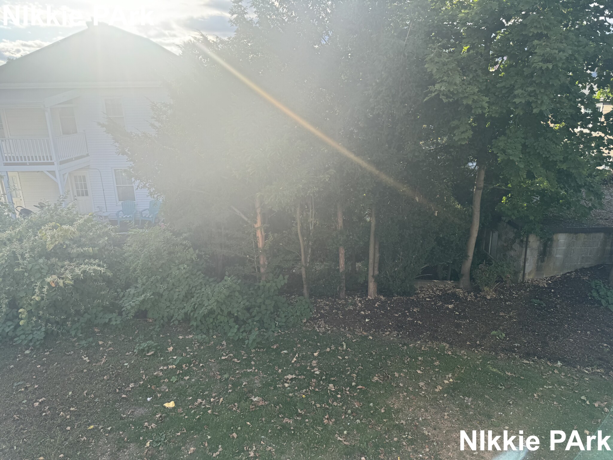 18 Winslow Rd, Belmont