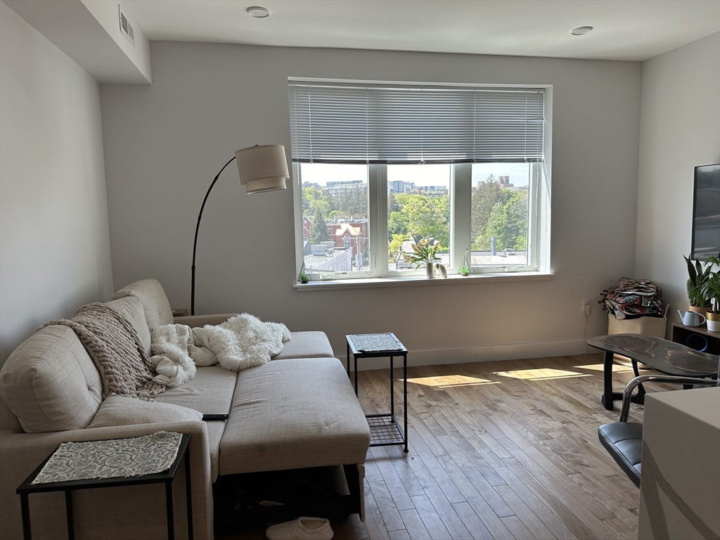 50 Hichborn St, Brighton