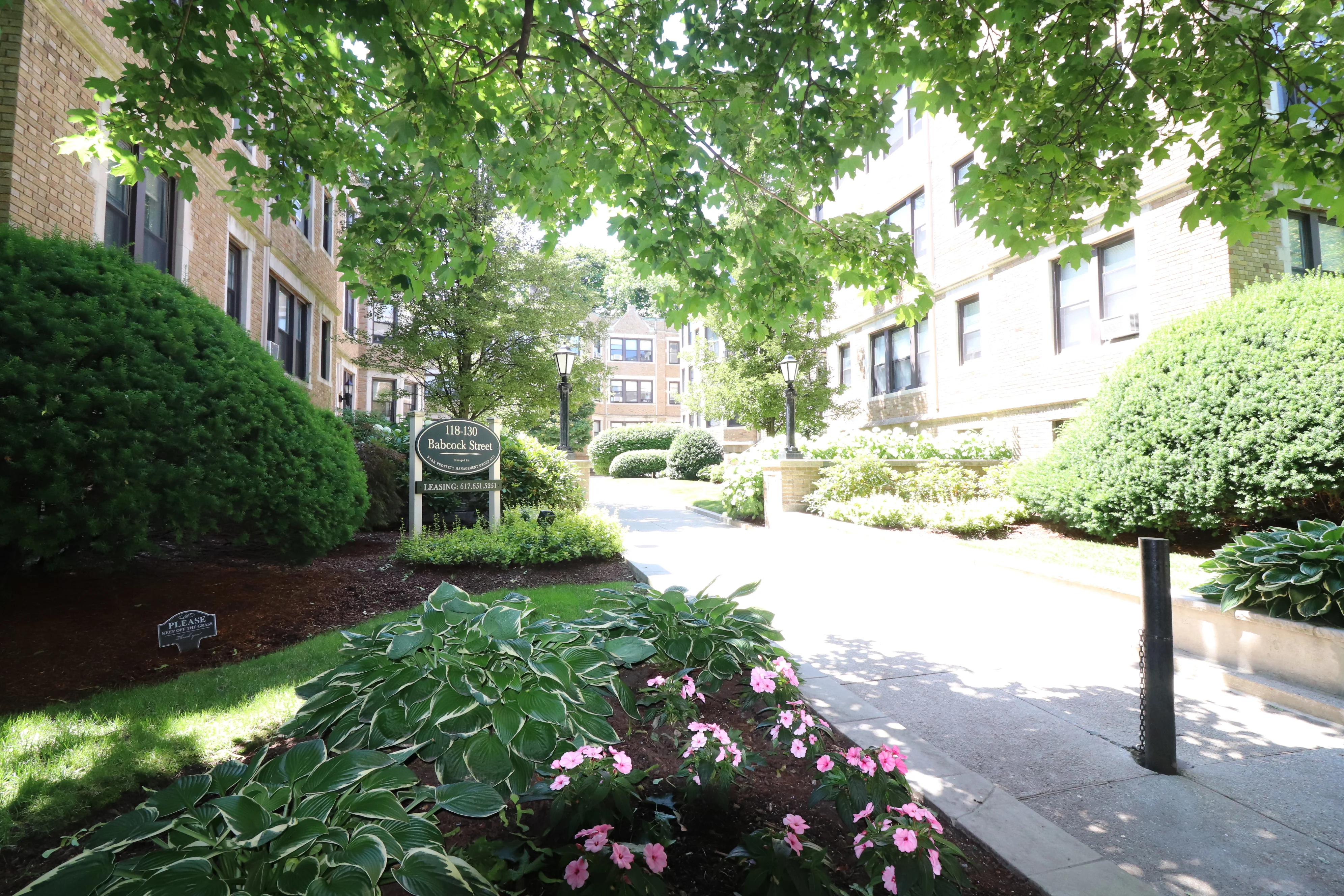120 Babcock St, North Brookline