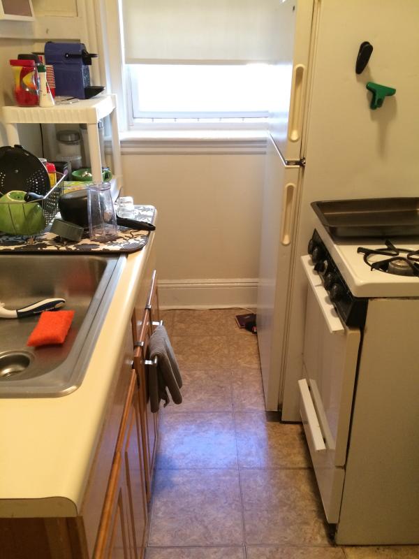 1209 Boylston St, Fenway