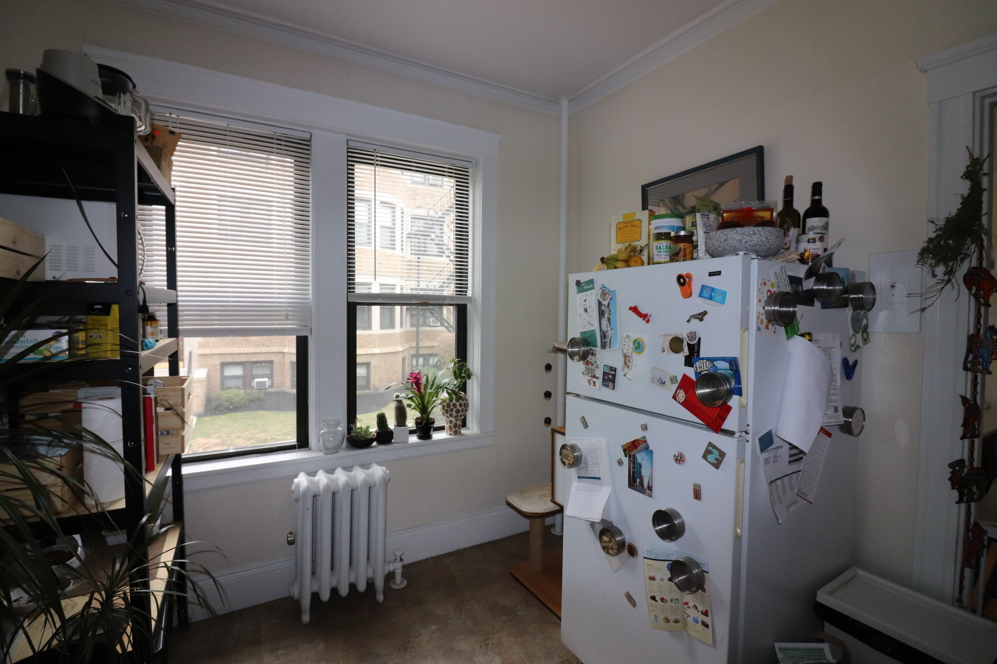 126 Babcock St, North Brookline