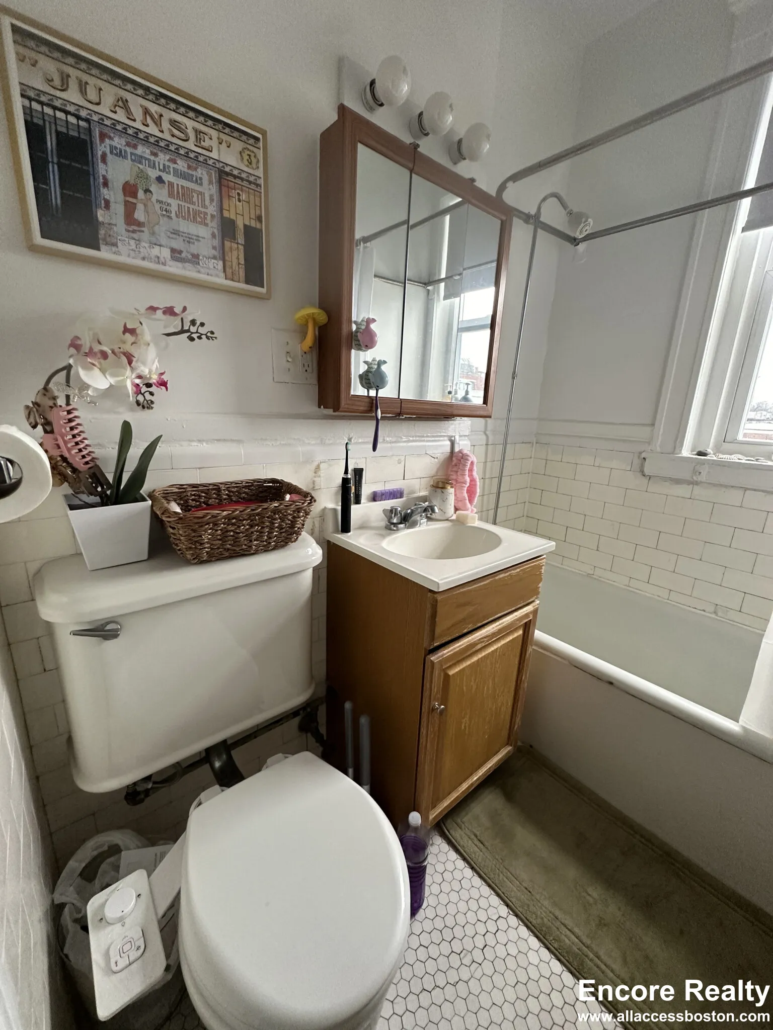 25 Walbridge St, Allston