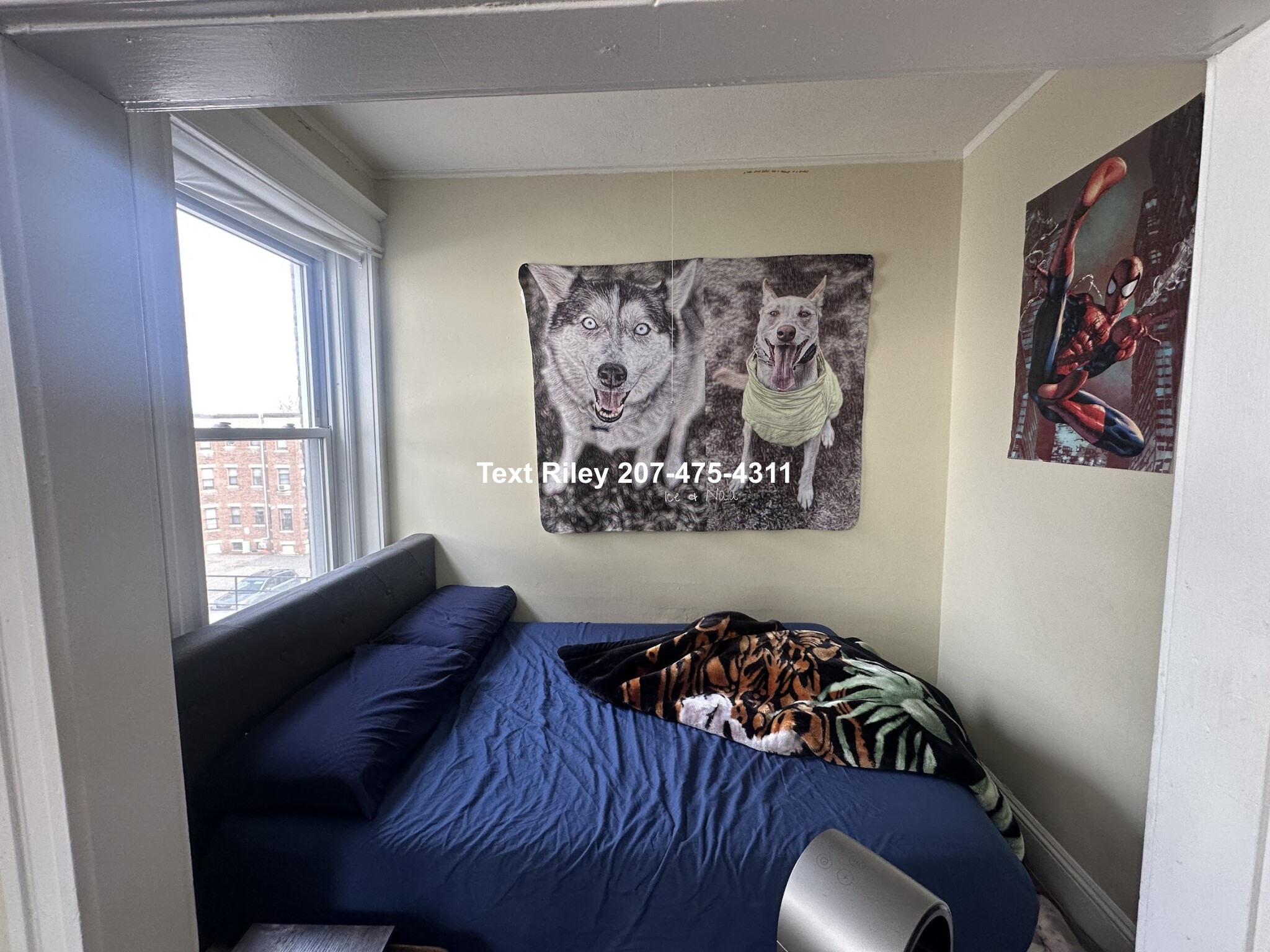 60 Woodstock Ave, Brighton