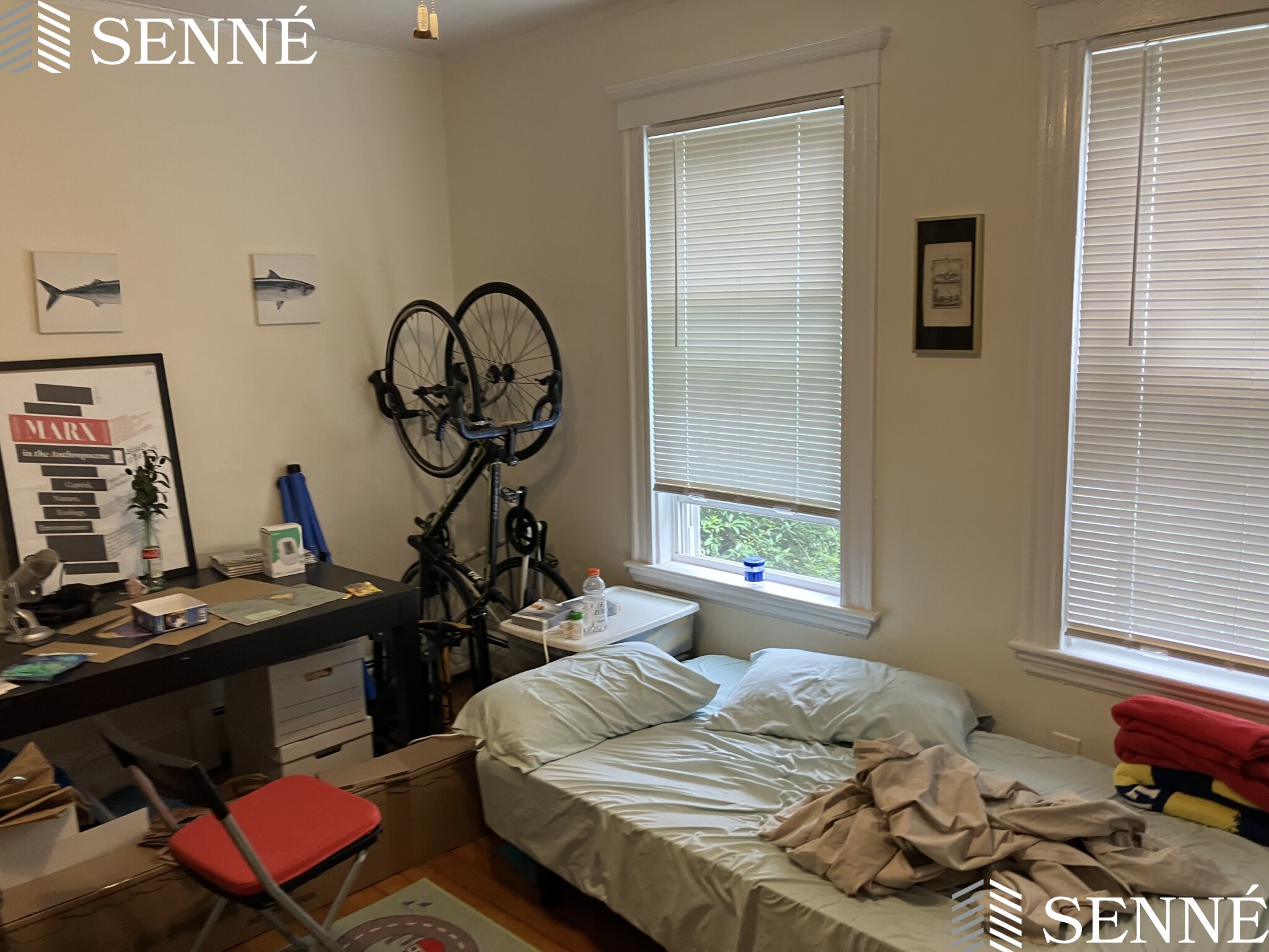 42A Linden Ave, Spring Hill