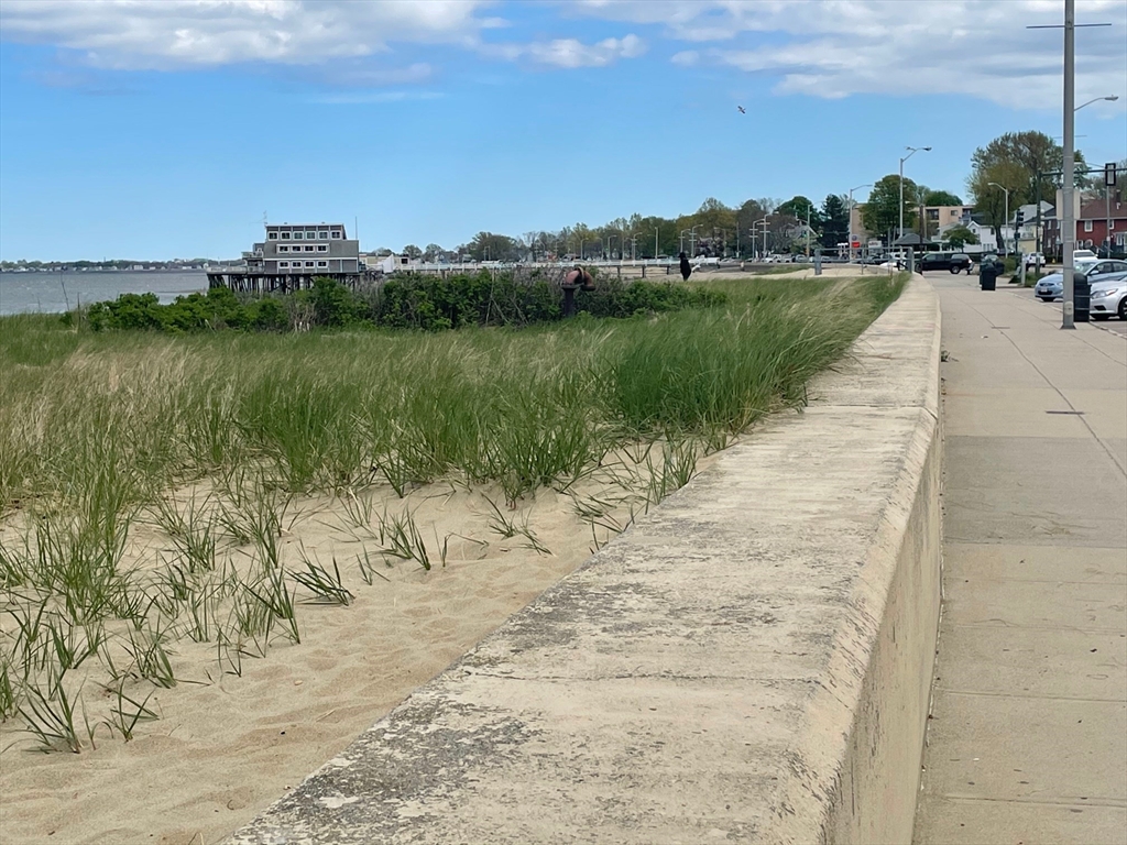 41 Webster St, Wollaston