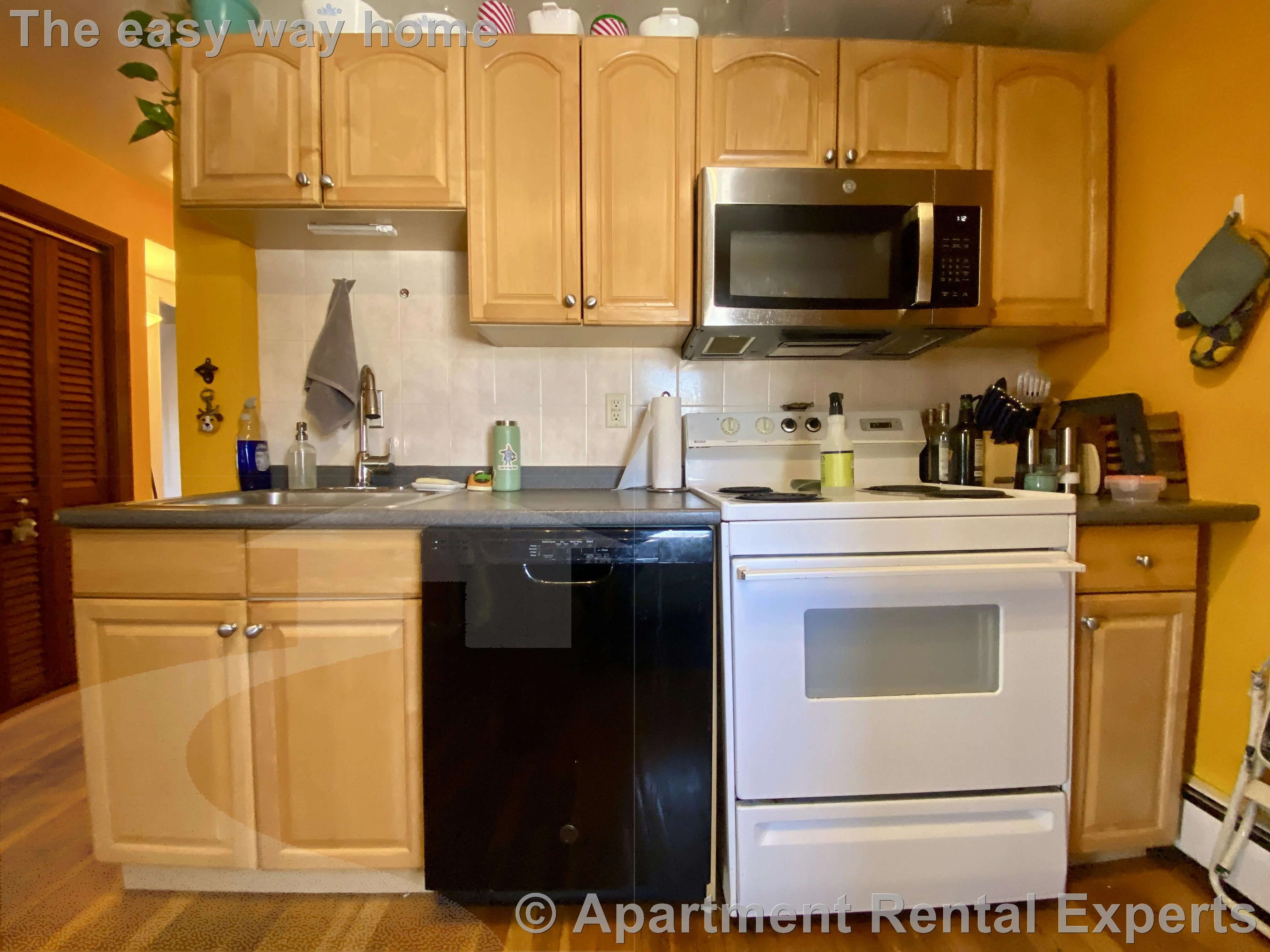 87 Summer St, Spring Hill