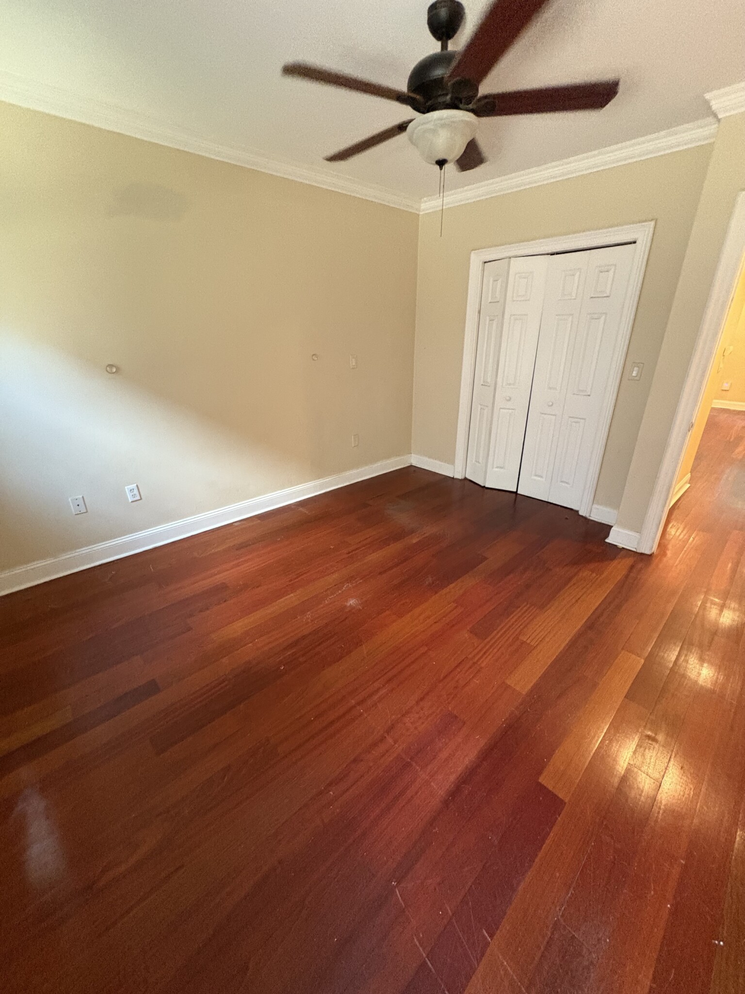 106 East Brookline St, South End