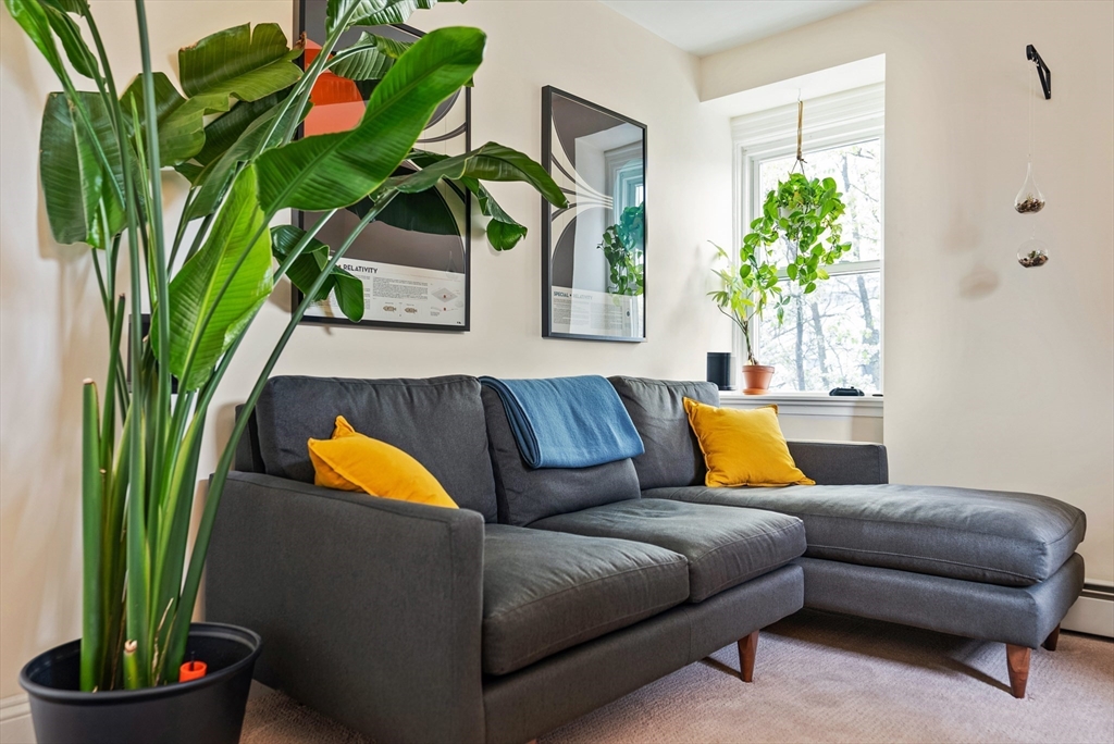 37 Putnam Ave, Riverside