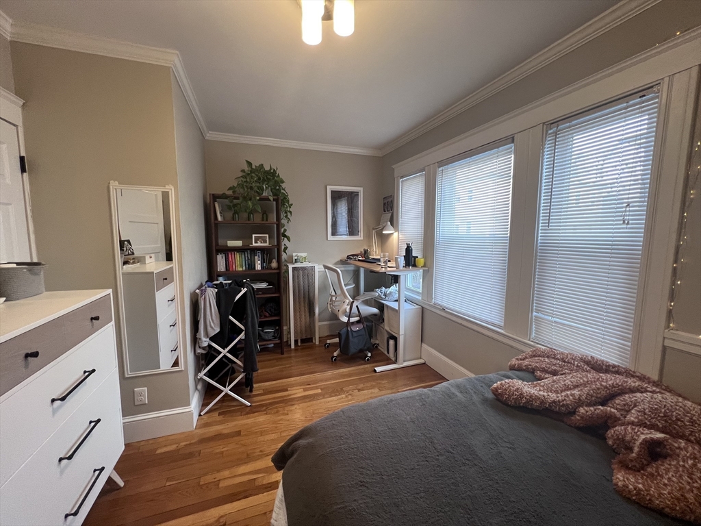 7 Roberts Rd, Harvard Square