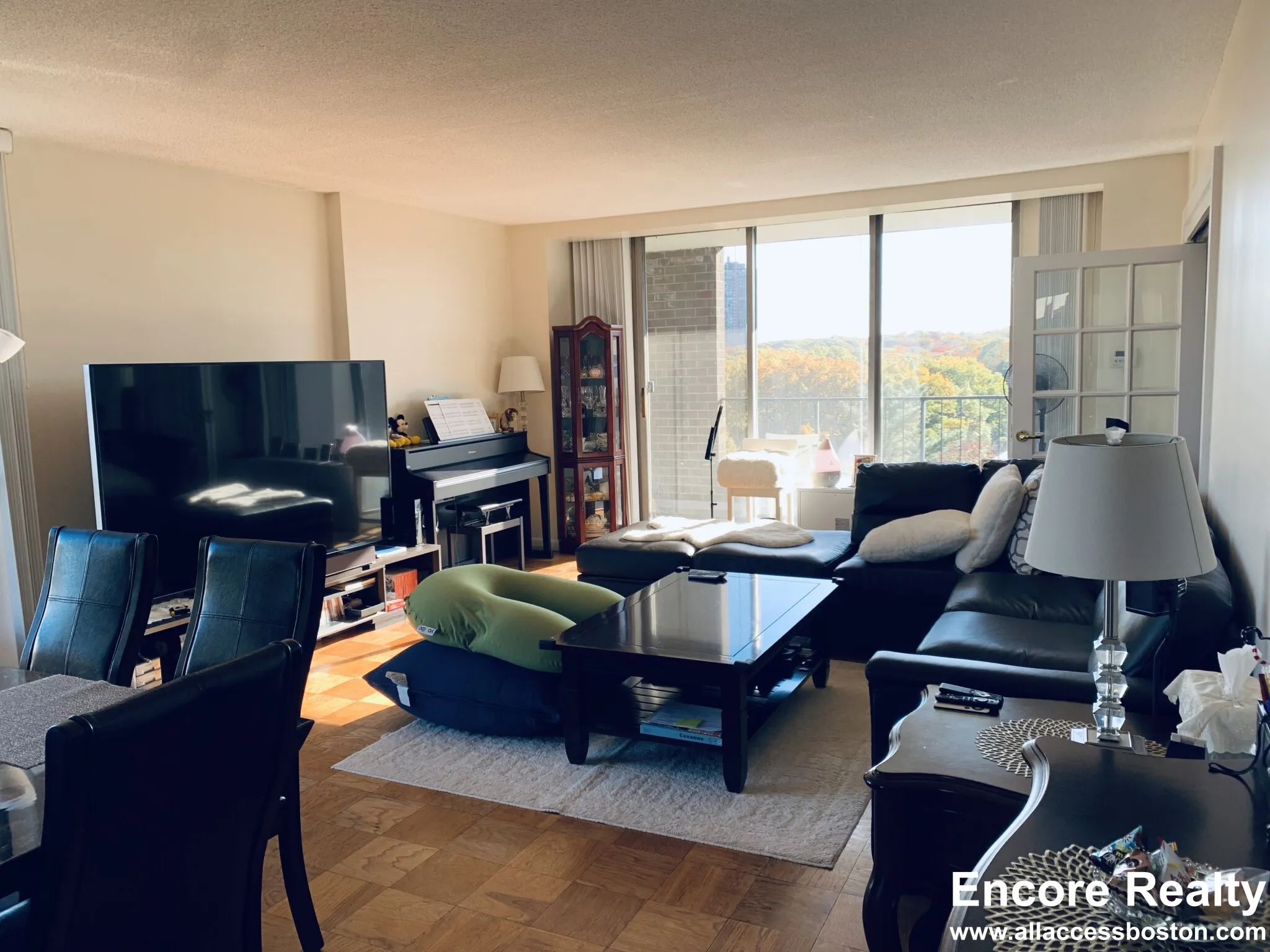 77 Pond Ave, Brookline Village