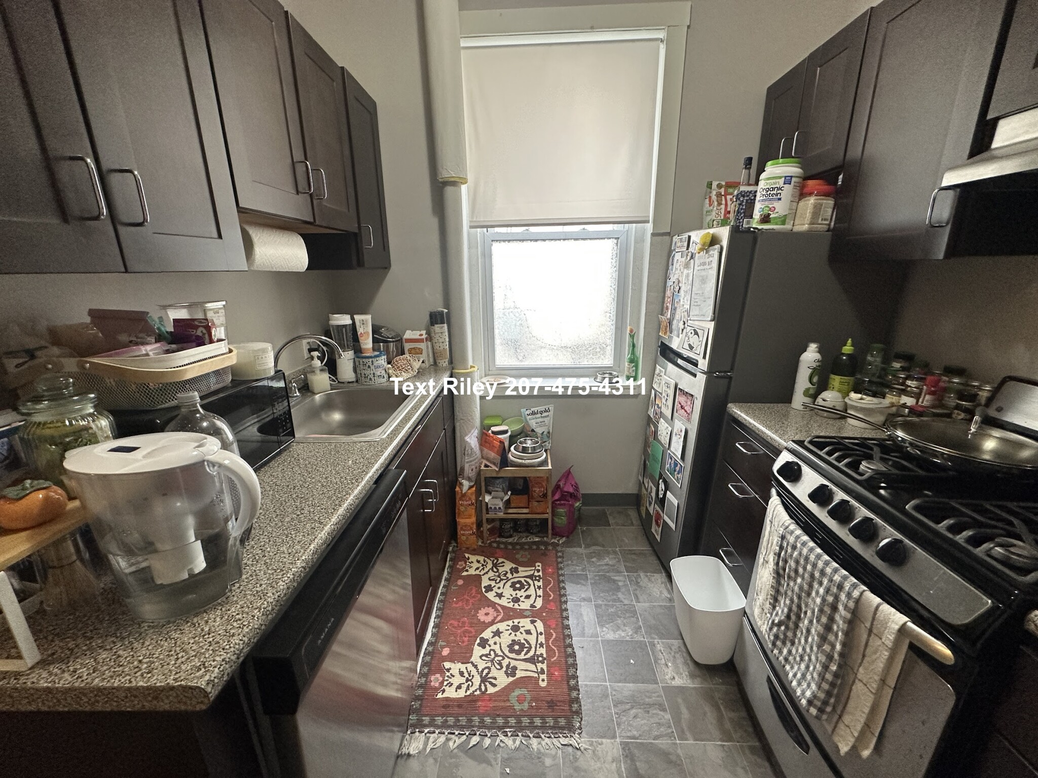 159 Kelton St, Brighton