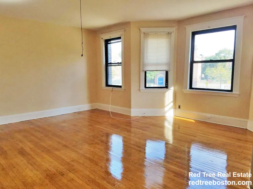 225 Chestnut Hill Ave, Brighton