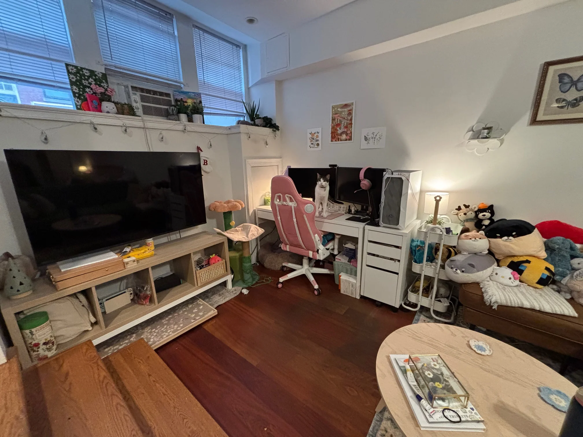 7 Grove St, Beacon Hill