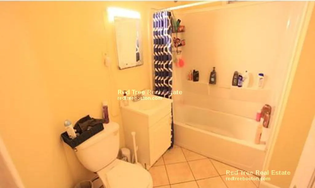 36 Cherokee St, Mission Hill