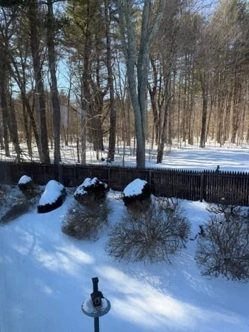 55 Littleton Rd, Ayer