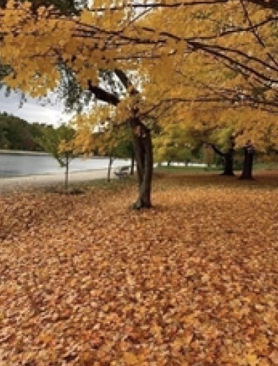 94 Dudley, Brookline