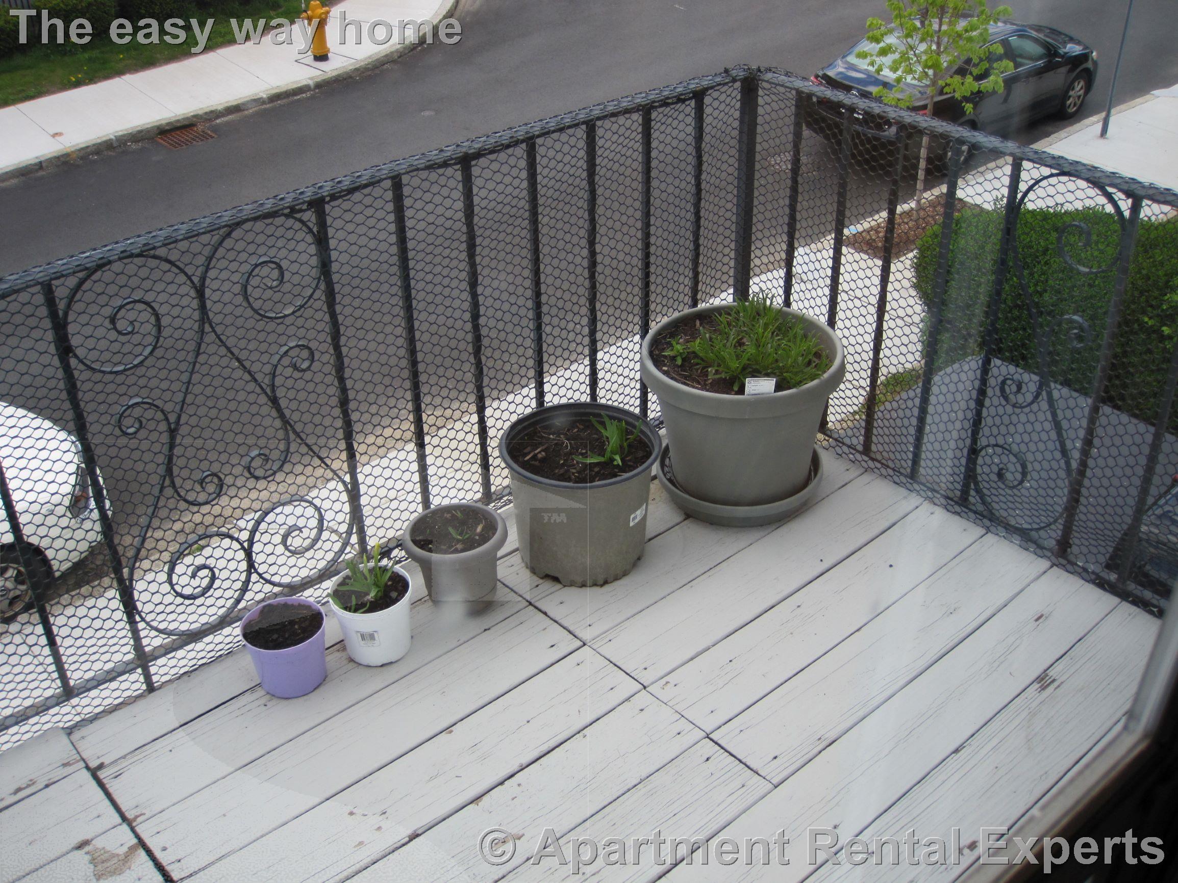 59 Windsor Rd, Tufts