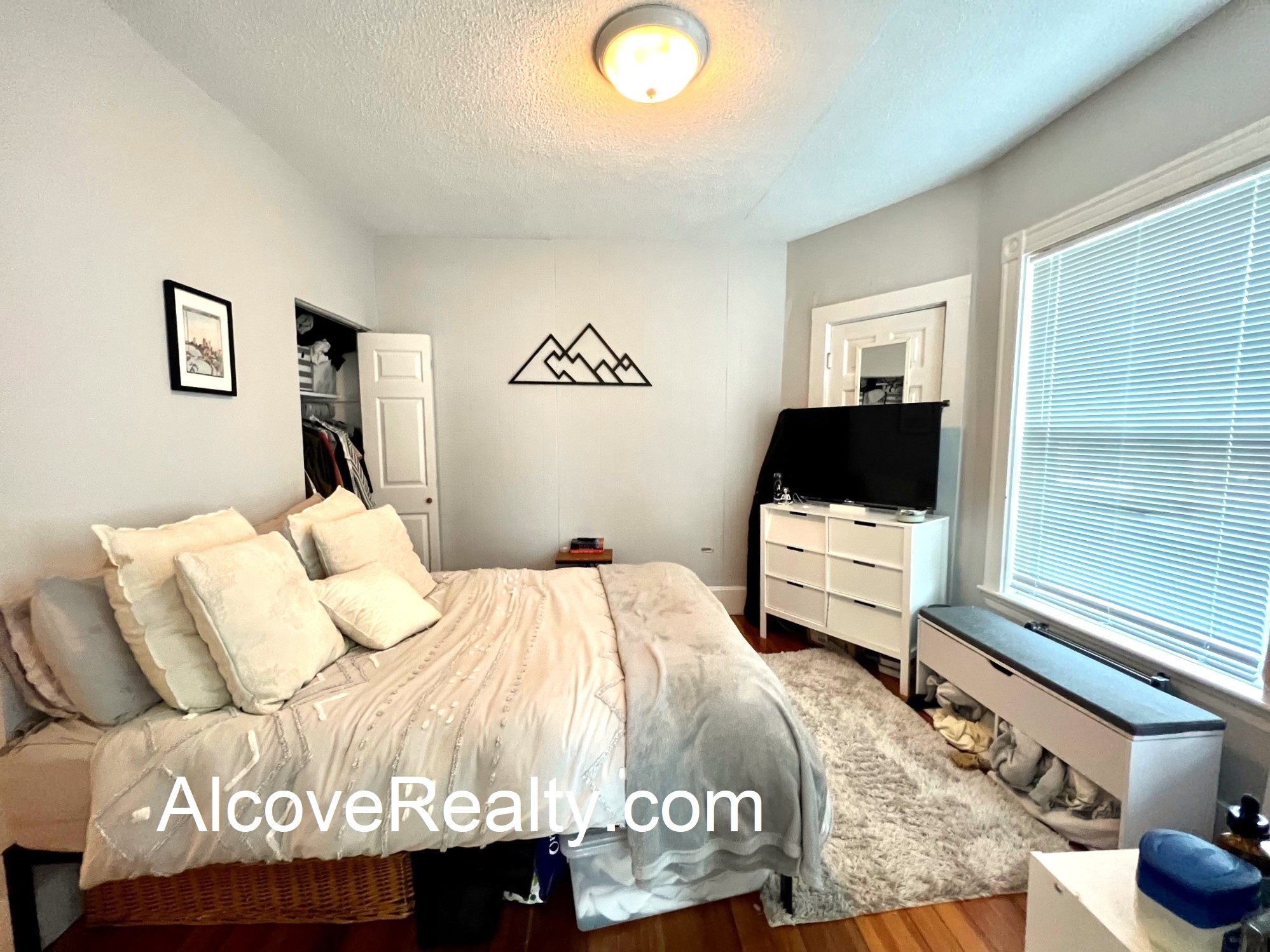 1 bed, 1 bath apartment for rent at 68 Raymond Ave Unit 1F, Teele Square — photo 4 of 10