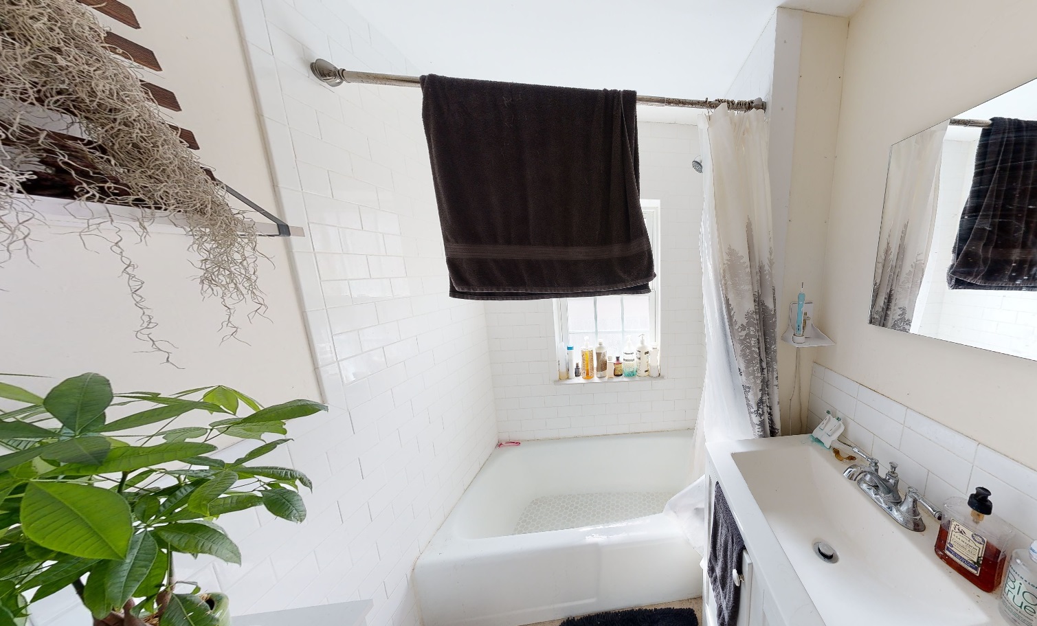 1 bed, 1 bath apartment for rent at 38 Gibson St Unit -06D, West Cambridge — photo 4 of 9