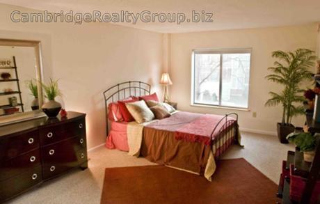 2 bed, 2 bath apartment for rent at 345 Franklin St Unit 206T, Central Square — photo 4 of 23