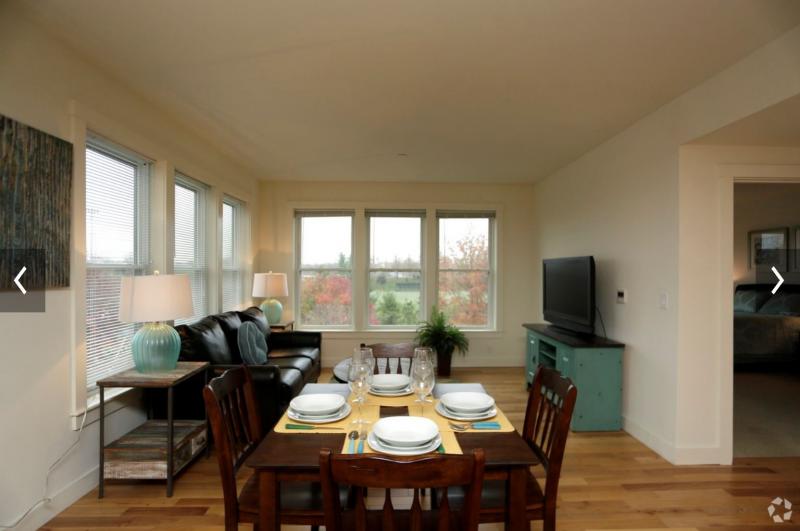 1 bed, 1 bath apartment for rent at 87 New St Unit 405, North Cambridge — photo 3 of 11
