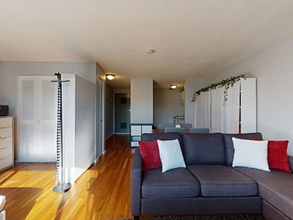 Studio bed, 1 bath apartment for rent at 205 Kent St Unit 45, Coolidge Corner — photo 4 of 15