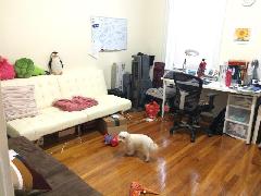 1 bed, 1 bath apartment for rent at 1203 Boylston St Unit 33, Fenway — photo 4 of 9