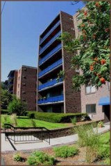 2 bed, 1 bath apartment for rent at 245 Main St Unit 27, Watertown — photo 2 of 2