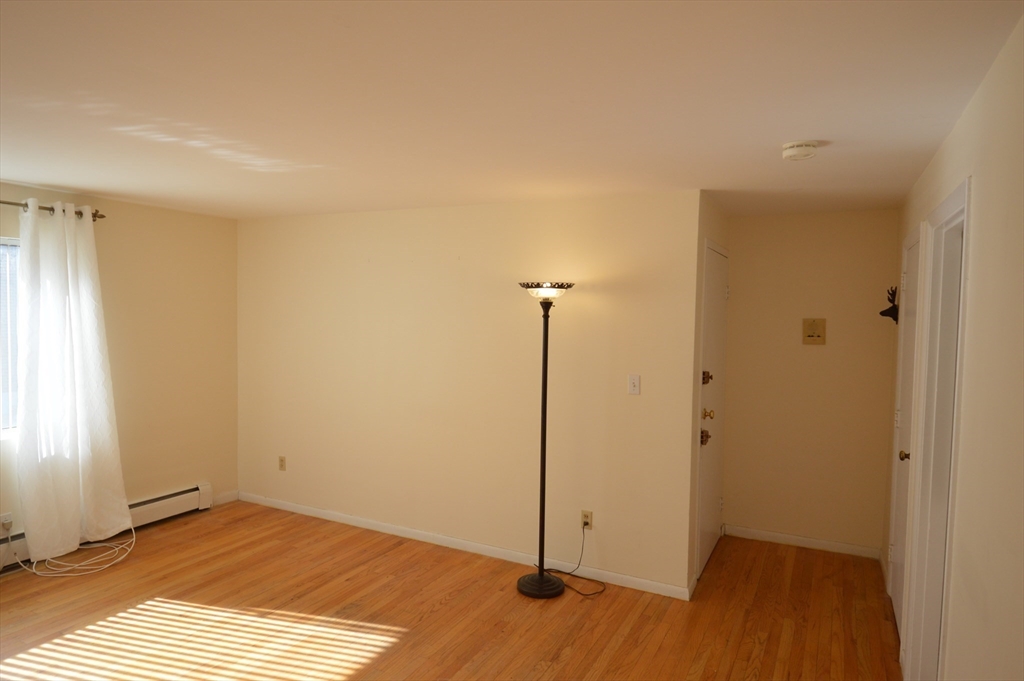 54 Bryon Rd, Chestnut Hill