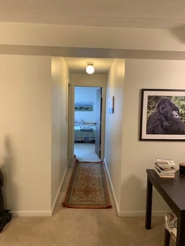 17 Healey, West Cambridge